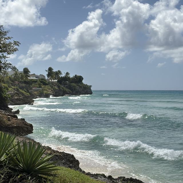 South-coast shoreline